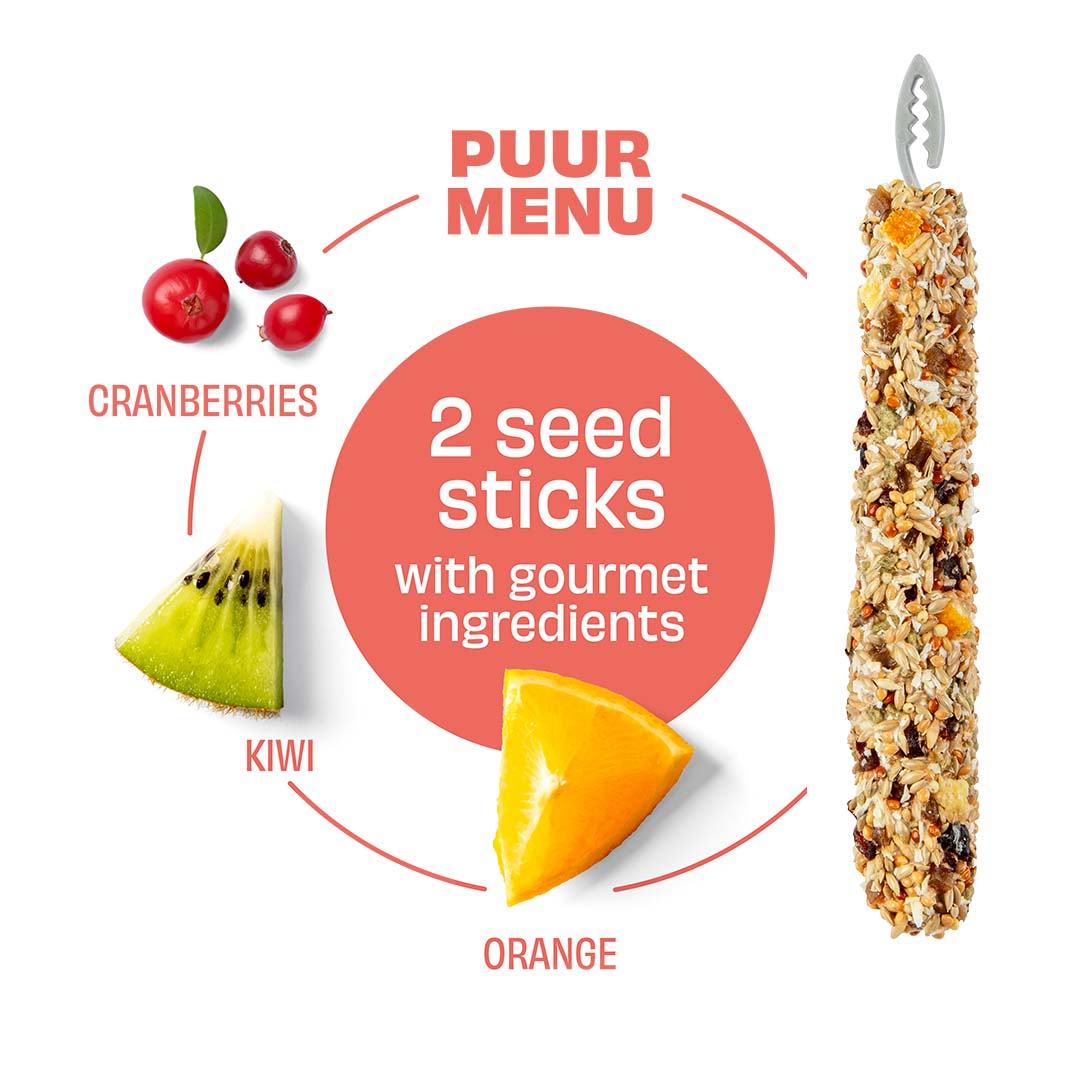 Witte Molen Puur Sticks With Cranberry & Kiwi For Canary - [Weight - 60g]