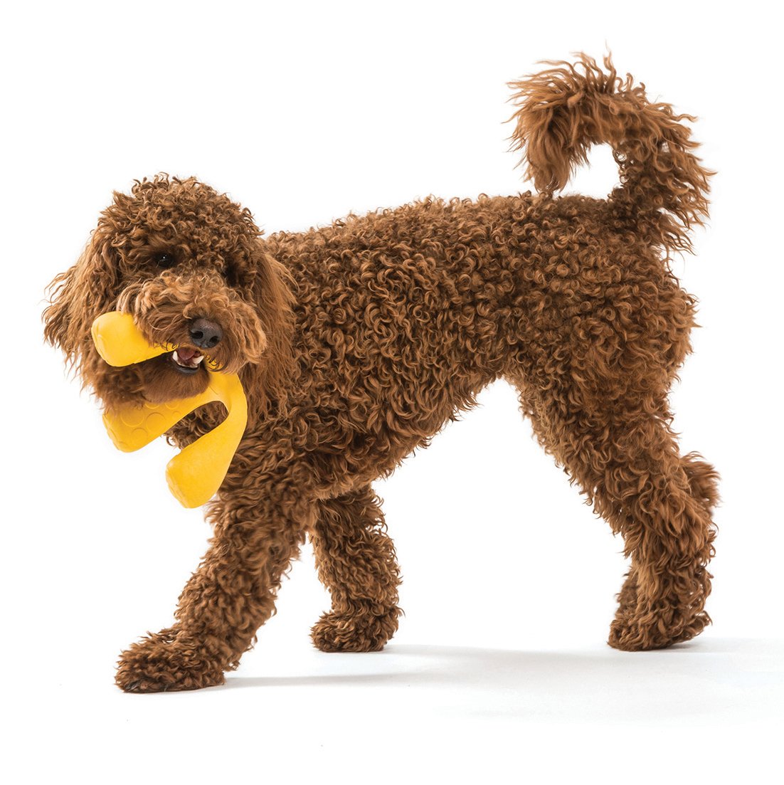 Wox Dog Toy - currant