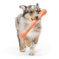 Thumbnail for Zwig Dog Toy - tangerine