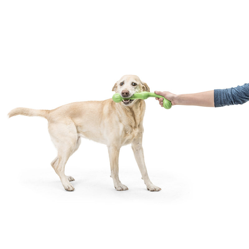 Zwig Dog Toy - tangerine