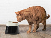 Thumbnail for Savic Ergonomic Cube Food Cat Bowl -