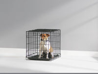 Thumbnail for Savic Collapsible Cottage Dog Crate  - 61CM