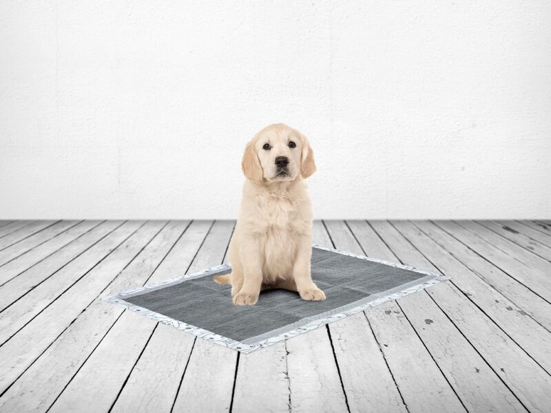 Savic Carbon Puppy Trainer Pads 50pcs - MEDIUM