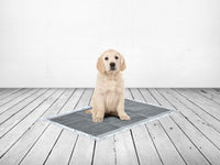 Thumbnail for Savic Carbon Puppy Trainer Pads 50pcs - MEDIUM