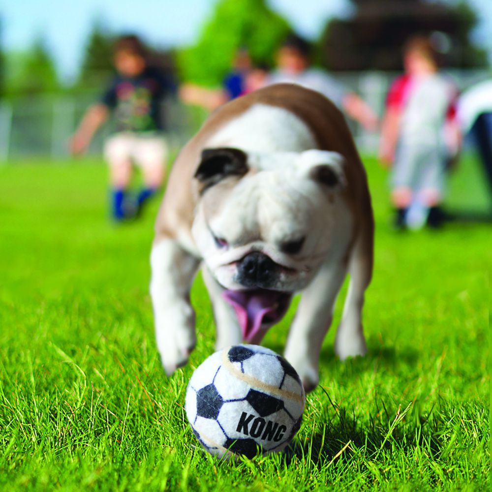 Kong Sport Balls Dog Toy - Small