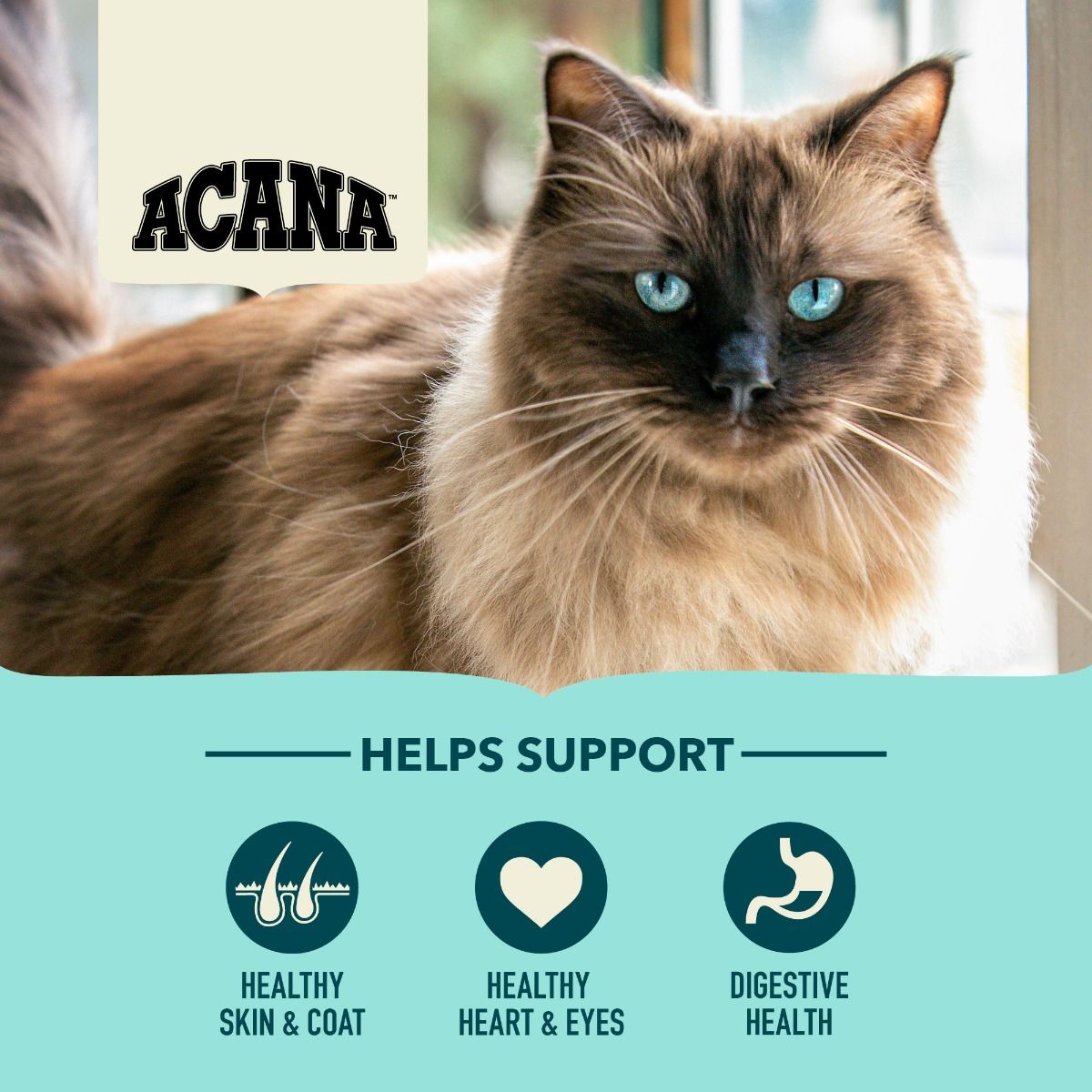 Acana Bountiful Catch Wild-Caught Salmon Herring & Hake Adult Dry Cat Food - 4.5kg