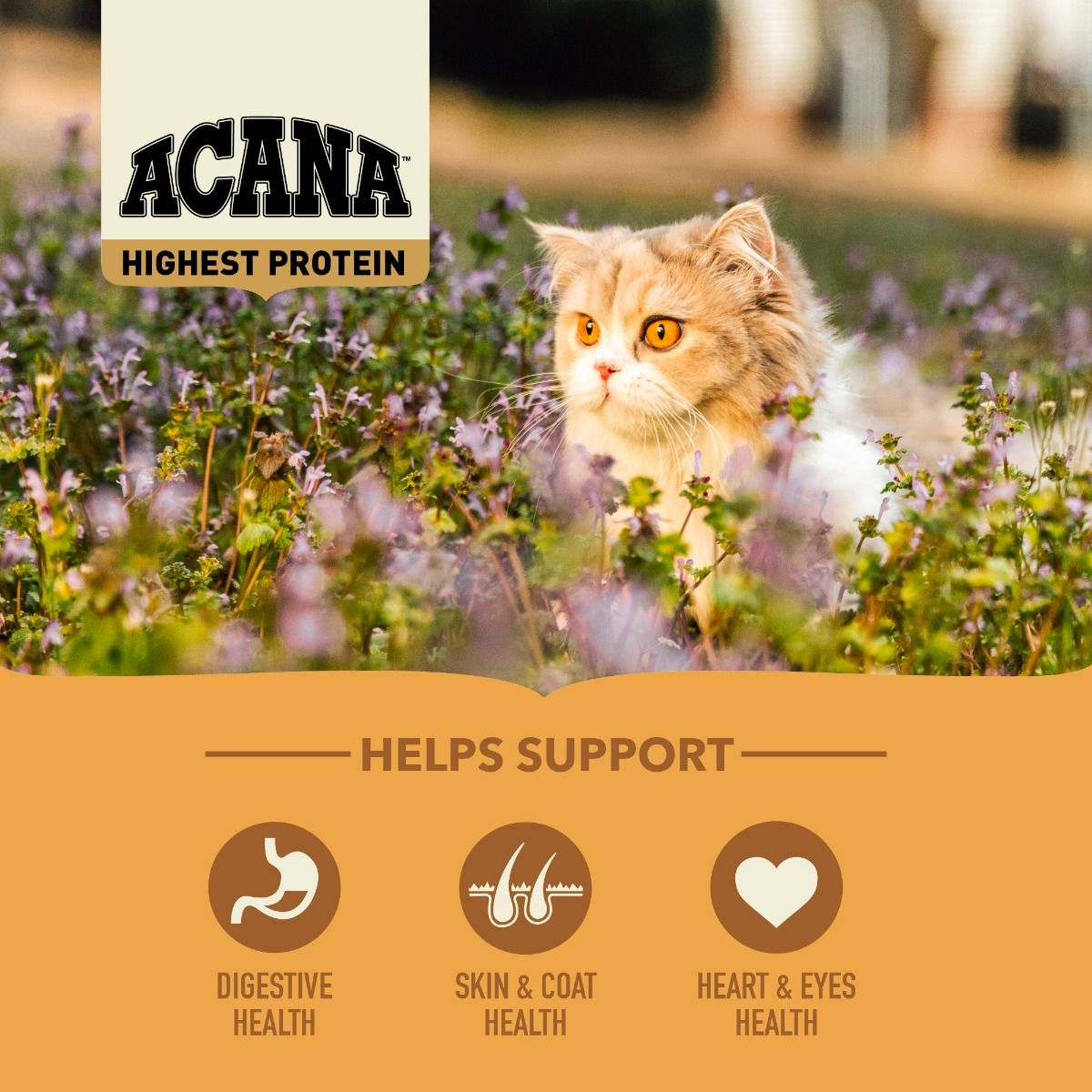 Acana Wild Prairie Free-Run Poultry Wild-Caught Fish All Life Stages Dry Cat Food - 4.5kg