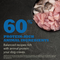 Thumbnail for Acana Adult Recipe Dry Dog Food - 2kg