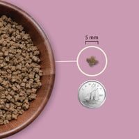 Thumbnail for Acana Highest Protein Grain-Free Complete Kitten Dry Food 1.8kg - 1.8kg