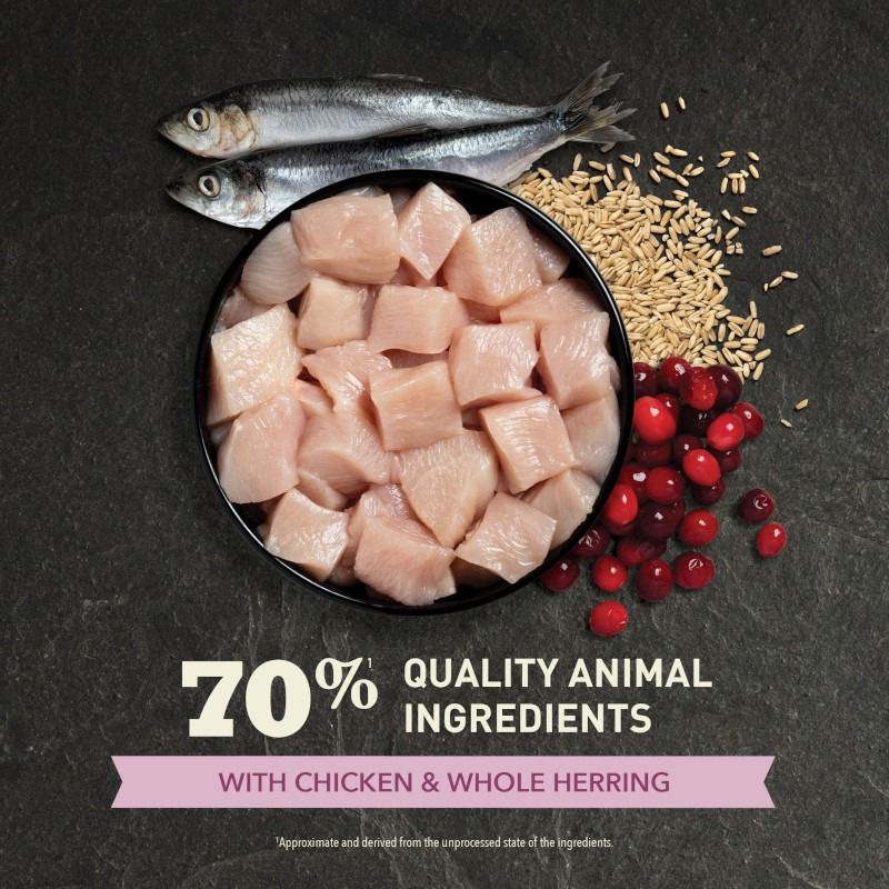 Acana Chicken with Herring First Feast Kitten Dry Cat Food 1.8kg - 1.8kg
