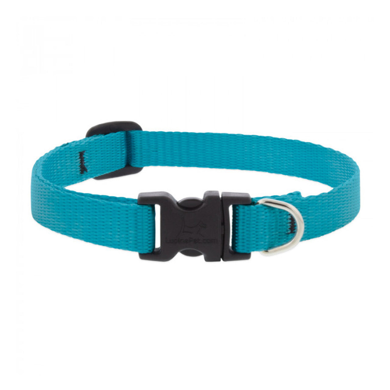 BASICS Adjustable Collar AQUA 1/2″ FOR SMALL DOGS - 8"-12"