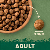 Harringtons Complete Salmon & Potato Adult Dry Dog Food - 18KG