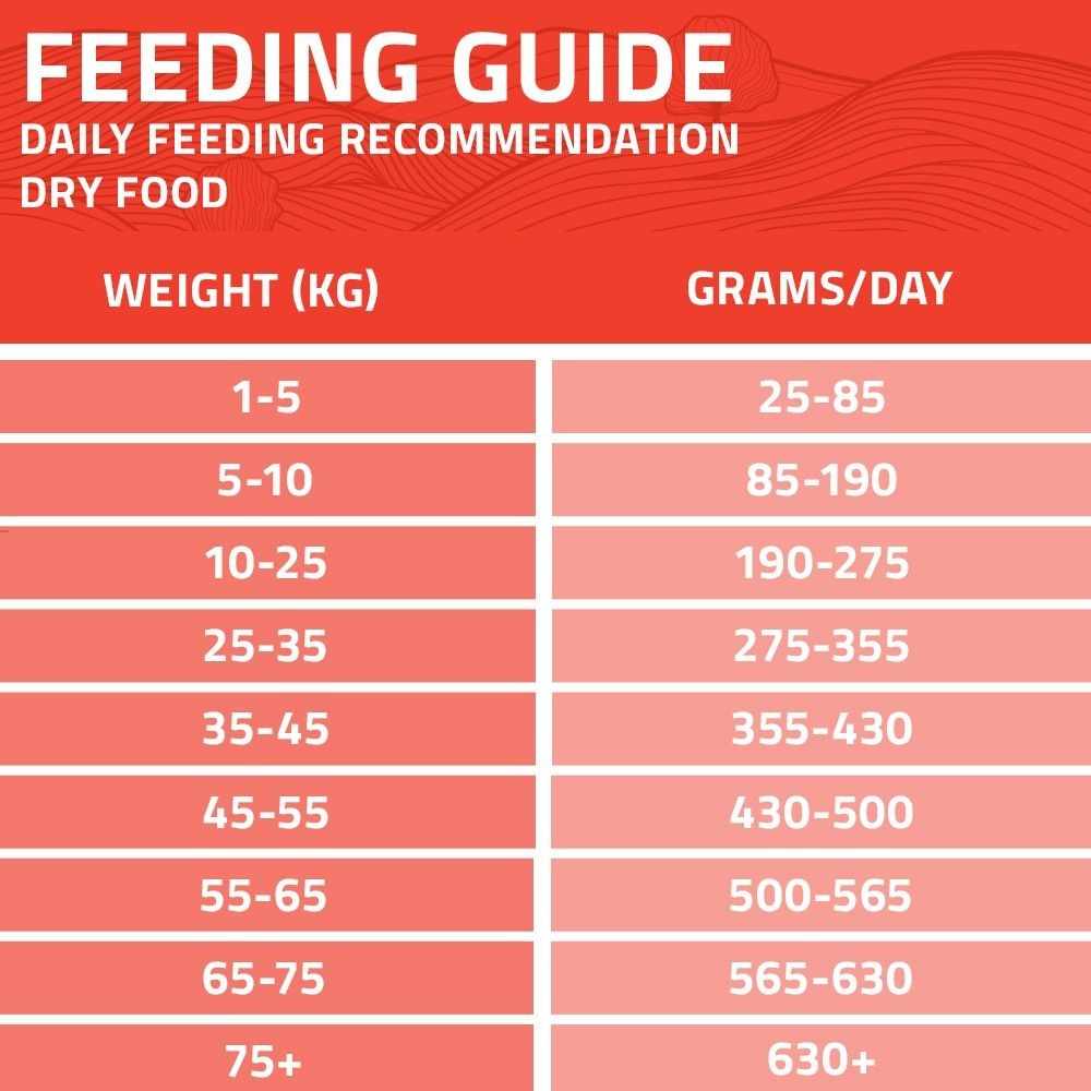 Arden Grange Daily All Breeds Adult Fresh Chicken & Rice Dry Dog Food - 12kg