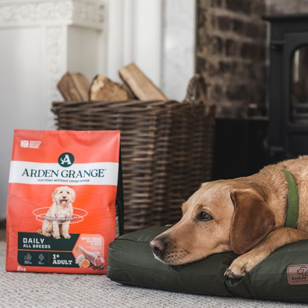 Arden Grange Daily All Breeds Adult Fresh Chicken & Rice Dry Dog Food - 6kg