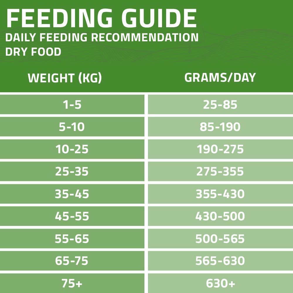 Arden Grange Daily All Breeds Adult Fresh Lamb & Rice Dry Dog Food - 2kg