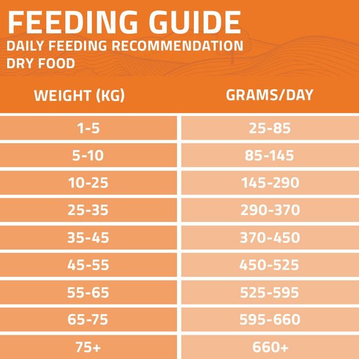 Arden Grange Daily All Breeds Senior with Fresh Chicken & Rice Dry Dog Food - 6kg