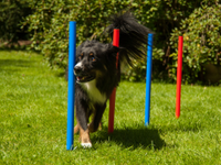 Thumbnail for Agility Set K2