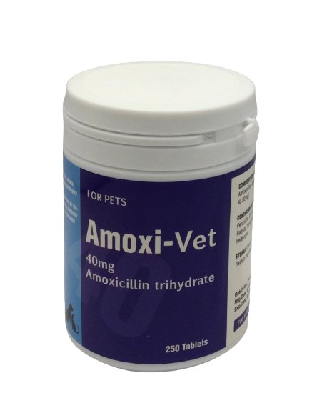 Amoxi-Vet 250 Tabs