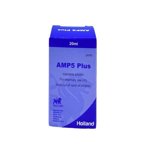 AMP 5 PLUS 20ml