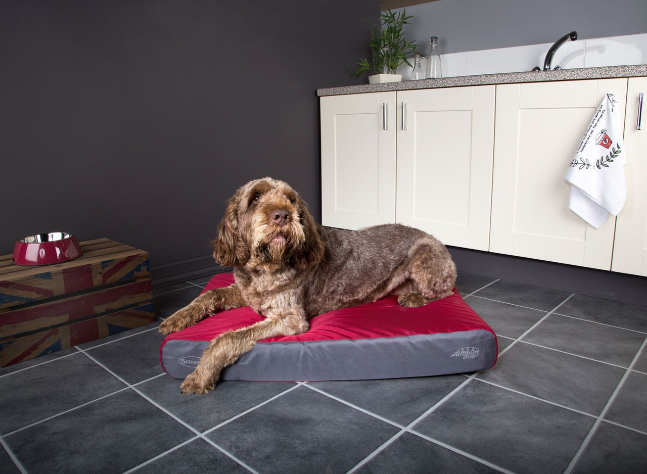 Scruffs ArmourDillo Battle-Ready Mattress Dog Bed - RED Medium
