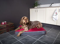 Thumbnail for Scruffs ArmourDillo Battle-Ready Mattress Dog Bed - RED Medium