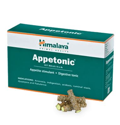 Appetonic 100g 1 Box of 6 sachets
