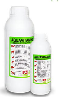 AQUAVITAMINO EURO multivitamin for stress and reproduction