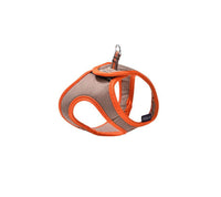 Thumbnail for Arlequin Mini Harness - Taupe / 2XS