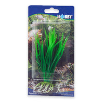 Thumbnail for Artificial plant - Cyperus