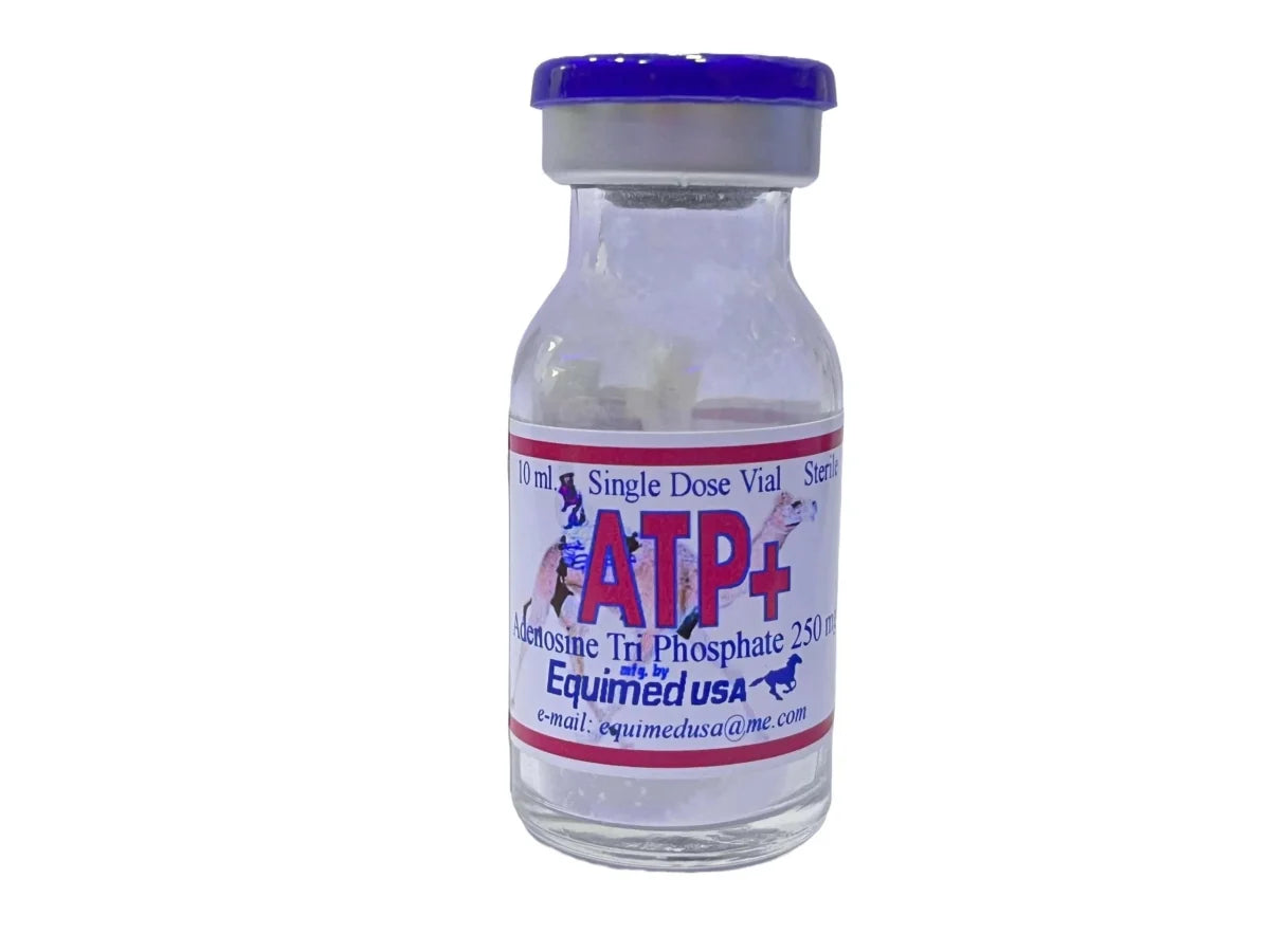 ATP+ Equimed 10ml