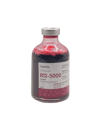 B12 5000 Orgalabs 100ml