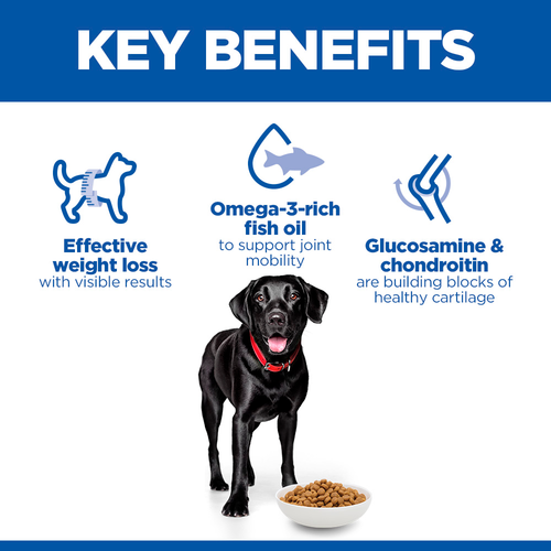 Hill’s Science Plan Perfect Weight & Active Mobility Large Breed Adult Dog Food with Chicken (12kg)