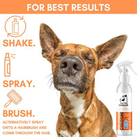 Thumbnail for DogsLife Baby Powder Cologne Dog Spray 250ml - 250ml