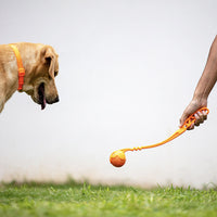 Thumbnail for SKIPDAWG Dog Ball Launcher 18″ (Medium)