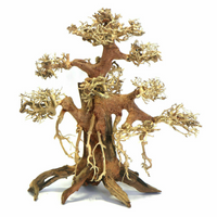 Banyan Bonsai Wood Medium, 30x30x15 cm