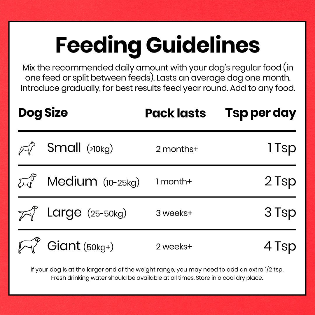 Pooch & Mutt Bionic Biotic Dog Supplement 200g - 200g