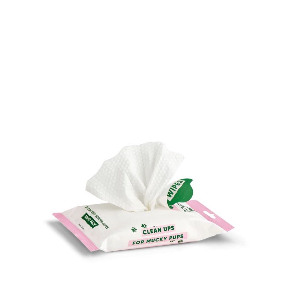 Beco Bamboo Coconut Scented Dog Travel Wipes 20pcs
