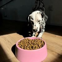 Thumbnail for Beco Steady Food & Water Dog Bowl - Blue Small