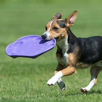 Thumbnail for Beco Pets Rubber Flyer Dog Toy - PURPLE