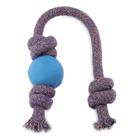 Thumbnail for Beco Pets Eco-Friendly Ball on a Rope Dog Toy - Blue Large