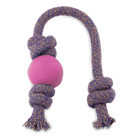 Thumbnail for Beco Pets Eco-Friendly Ball on a Rope Dog Toy - Pink Large