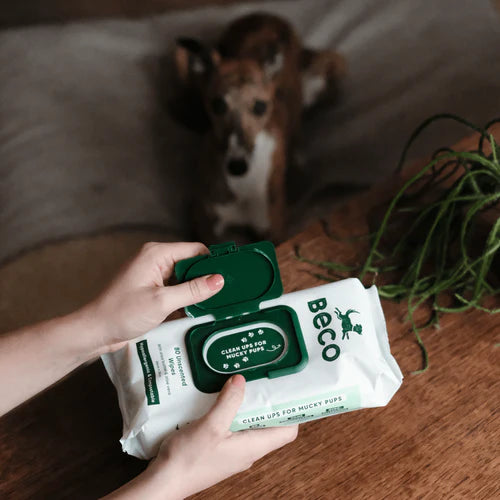 Beco Bamboo Unscented Dog Wipes -