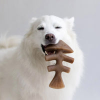 Thumbnail for Benebone Fishbone Dog Toy - Large