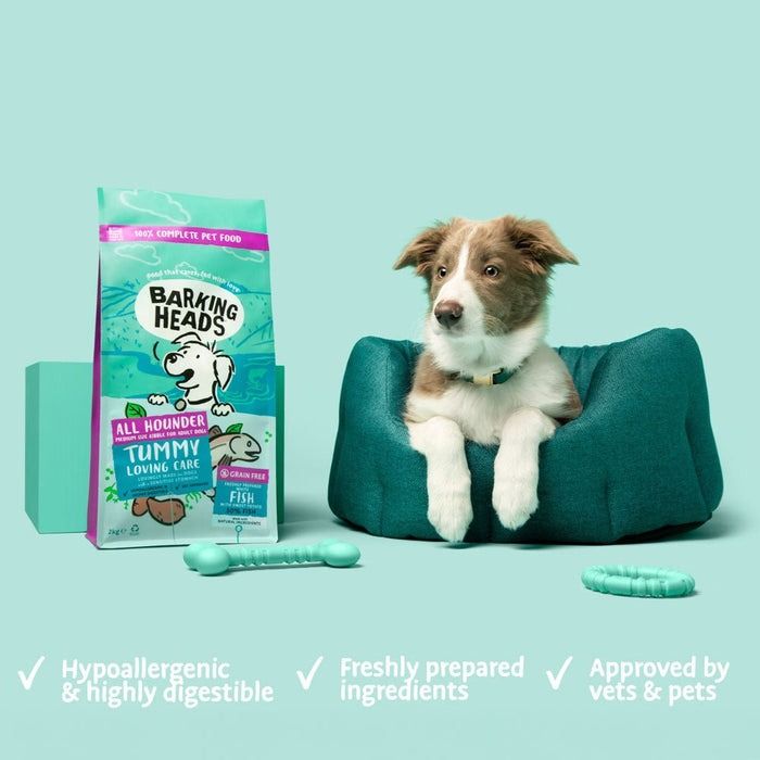 Barking Heads Tummy Loving Care Fish Dry Dog Food - 2kg