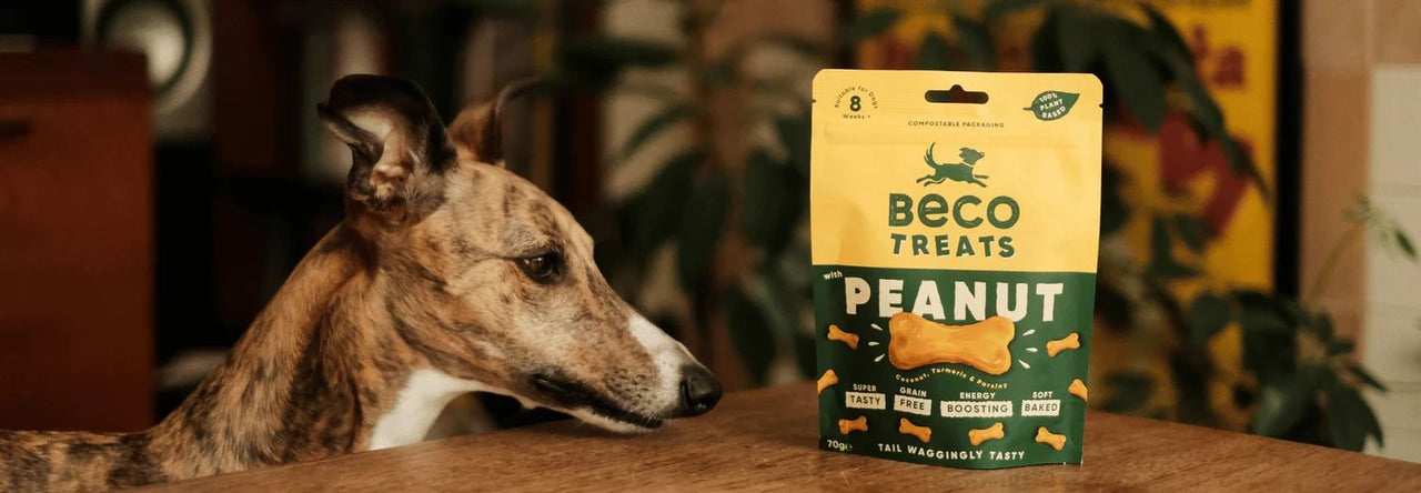 Beco Peanut with Coconut & Turmeric Dog Treats 70g - 70g