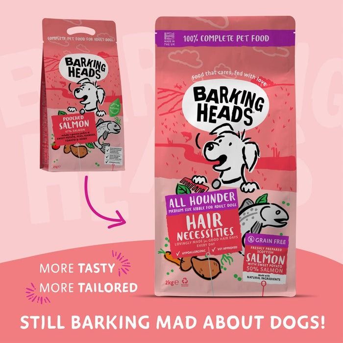 Barking Heads All Hounder Hair Necessities Salmon Dry Dog Food - 2kg