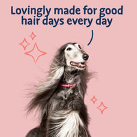 Barking Heads All Hounder Hair Necessities Salmon Dry Dog Food - 2kg