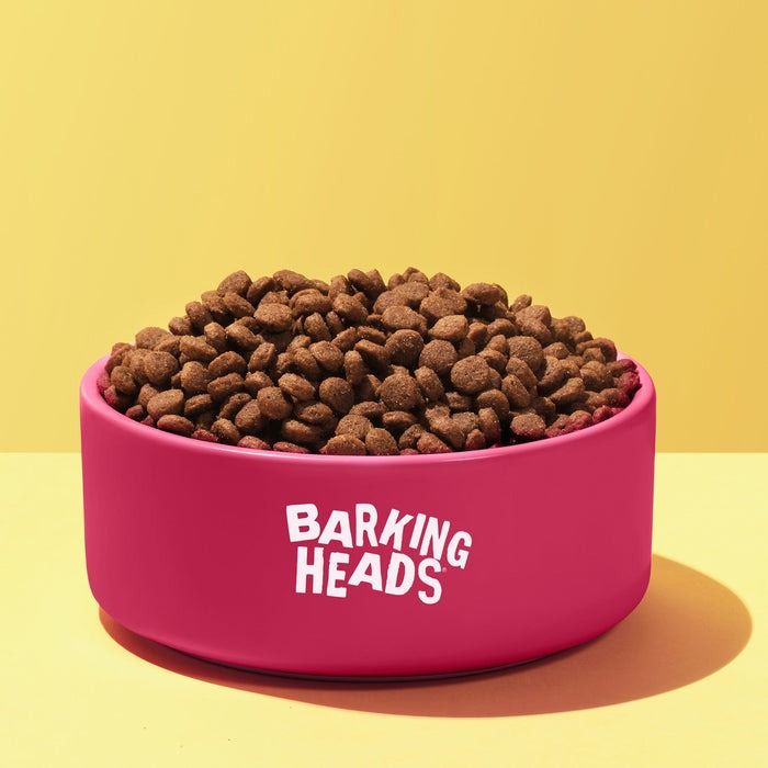 Barking Heads All Hounder Puppy Days Turkey Dry Dog Food - 2kg