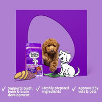 Barking Heads All Hounder Puppy Days Turkey Dry Dog Food - 2kg