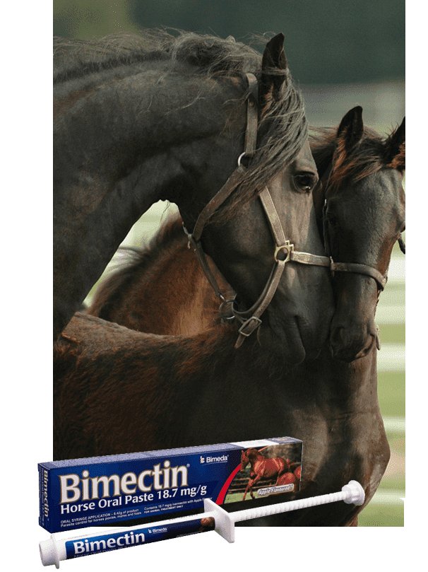 Bimectin 18.7mg/g Paste 6.42g for parasite control in horses